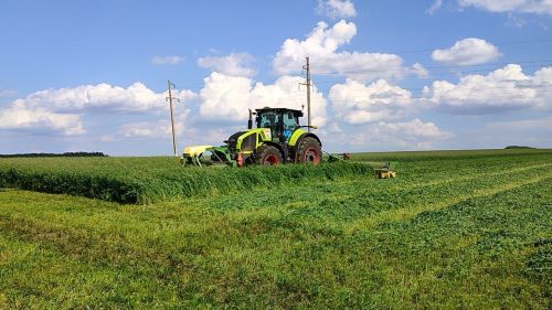 «Август-Кайбицы» приступили к кормозаготовке