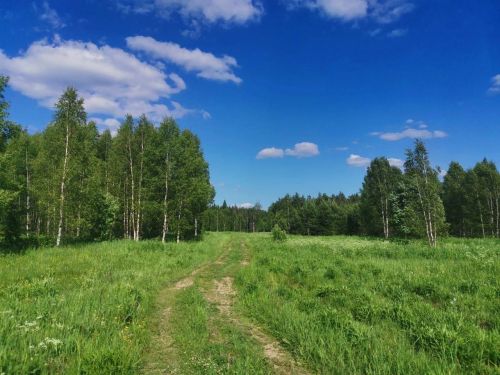 В Татарстане вновь пройдут дожди, температура не превысит +22 градусов