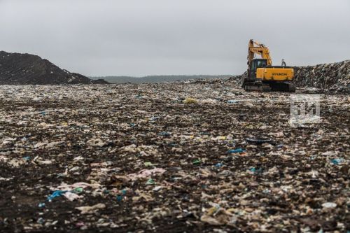 Директора молочной фирмы из РТ оштрафовали за незаконную добычу воды и свалку