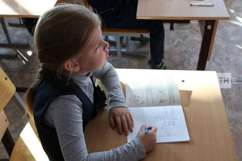 В Татарстане около 4,5 тыс. школьников находятся на семейном обучении