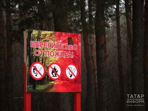 В Минлесхозе РТ сообщили о начале подготовки к новому пожароопасному сезону в лесах