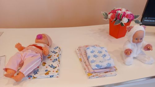 Кайбычта бәби көтүче ханымнар белән очрашу узды
