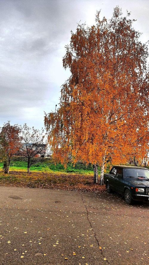 В Татарстане 15 октября ожидается облачная погода, местами небольшой дождь