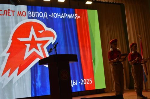 В Кайбицах состоялся девятый слет юнармейцев