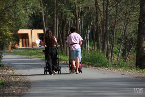 В Татарстане заключили более 4 тысяч социальных контрактов по нацпроекту «Семья»
