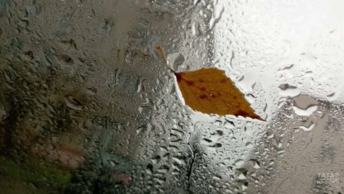 В Татарстане ожидаются дожди, крепкий ветер и до 9 градусов тепла