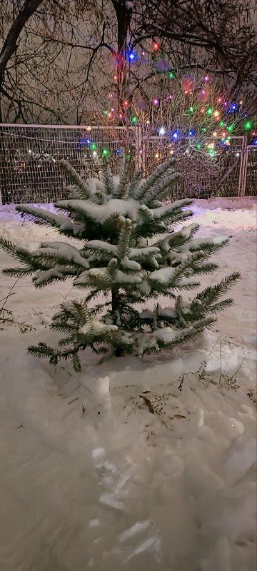 В Татарстане температурный фон поднимется до −12 градусов