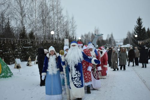 В Кайбицах состоялось открытие главной елки района
