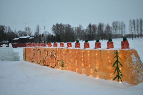В Кайбицах состоялось открытие главной елки района