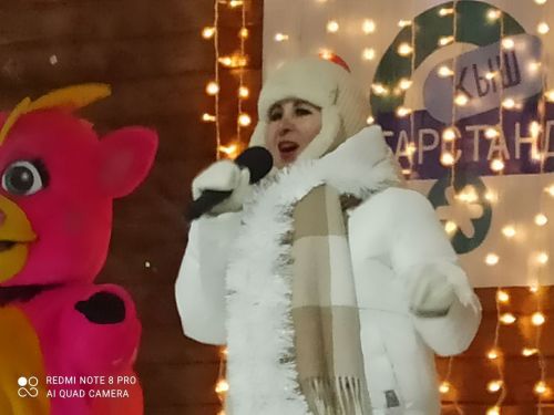 В Кайбицах состоялось открытие главной елки района
