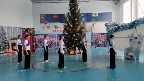 Активисты и отличники учебы Кайбицкого района собрались на елку