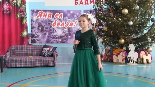 Активисты и отличники учебы Кайбицкого района собрались на елку