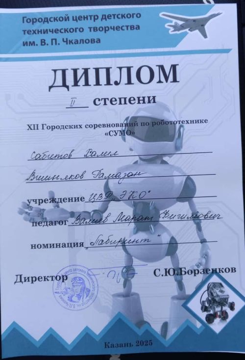 Команда Кайбицкого района заняла призовые места на соревнованиях по робототехнике «СУМО»