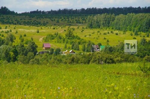 Установлены сроки освоения земель, расположенных в границах населенных пунктов, а также предоставленных для ведения садоводства и огородничества