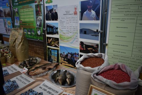 В районном доме культуры состоялось 67-е заседание совета Кайбицкого района