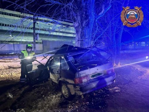 В Зеленодольске водитель легковушки погиб, врезавшись в дерево