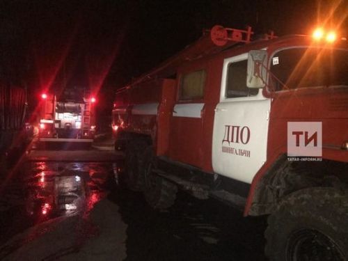 В Подмосковье на пожаре в тепличном комплексе погибли четыре человека