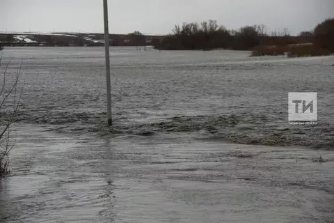 В Буинском районе из-за подъема уровня воды закрыли два моста через Свиягу