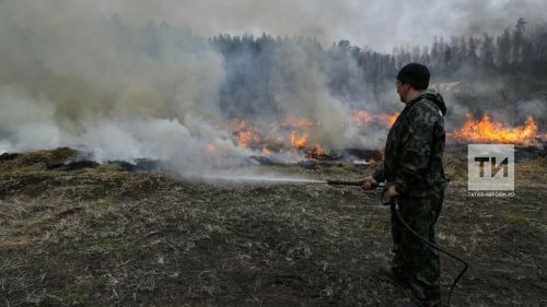 Этой весной в Татарстане сухая трава горела в три раза чаще