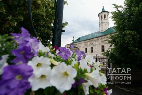 Татарстанда Корбан бәйрәме: кемнәргә корбан чалу мәҗбүри һәм корбанлыкны кайдан алырга?