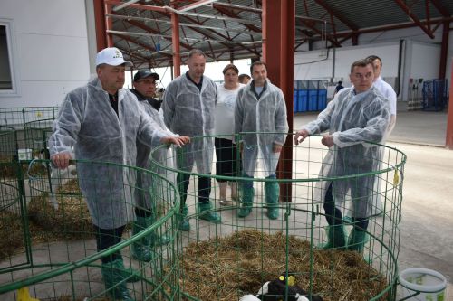 В Кайбицах побывал директор департамента животноводства и племенного дела Минсельхоза РФ