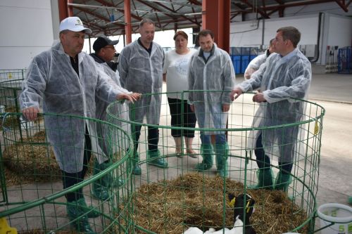 В Кайбицах побывал директор департамента животноводства и племенного дела Минсельхоза РФ