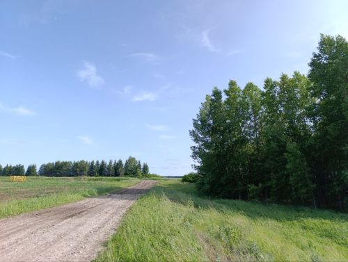 Клещи в этом году кусают татарстанцев в полтора раза чаще