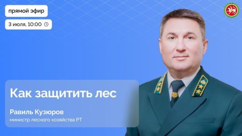 Прямой эфир с министром лесного хозяйства Татарстана: важные вопросы защиты лесов