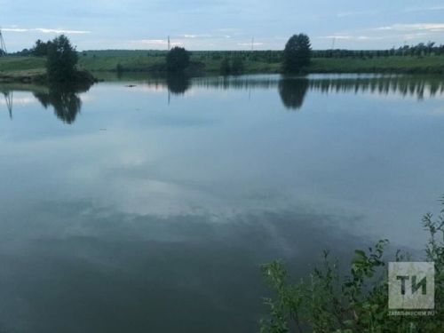 Жительница Татарстана спасла тонущую бабушку в Китае