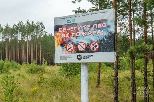 В Татарстане сохраняется штормовое предупреждение из-за высокой пожарной опасности в лесах