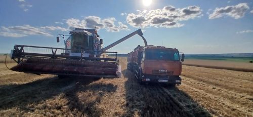 В Кайбицком районе приступили к уборке урожая