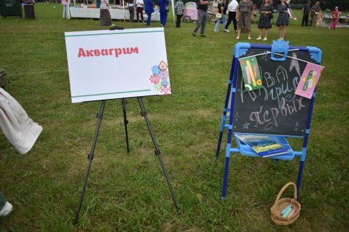 На фестивале в Больших Кайбицах подвели итоги программы «Наш двор»