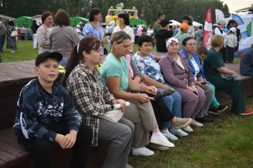 На фестивале в Больших Кайбицах подвели итоги программы «Наш двор»