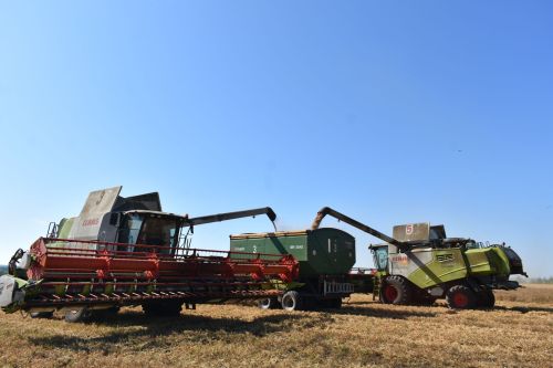 На полях Кайбицкого района продолжаются уборочные работы