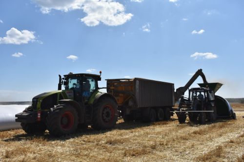 На полях Кайбицкого района продолжаются уборочные работы