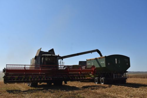 На полях Кайбицкого района продолжаются уборочные работы