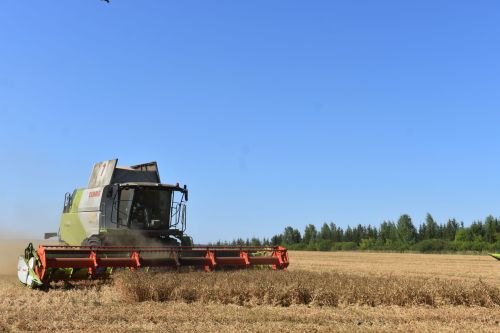 На полях Кайбицкого района продолжаются уборочные работы