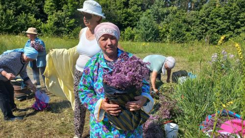 Борындык авылында районның аккалфаклылары һәм ветераннар советлары рәисләре катнашында Мәтрүшкә бәйрәме узды