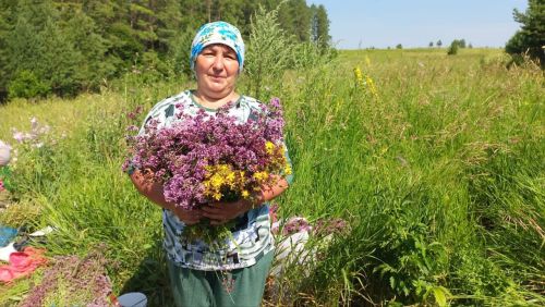 Борындык авылында районның аккалфаклылары һәм ветераннар советлары рәисләре катнашында Мәтрүшкә бәйрәме узды