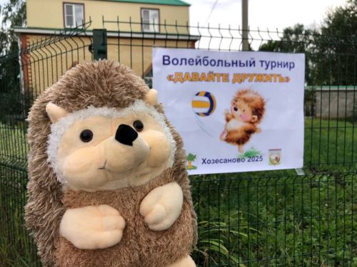 В селе Хозесаново прошел волейбольный турнир под дружелюбным названием «Давайте дружить»