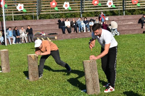 В Кайбицах состоялось праздничное мероприятие по случаю Дня республики