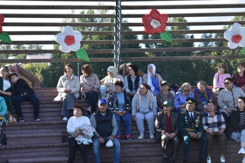 В Кайбицах состоялось праздничное мероприятие по случаю Дня республики