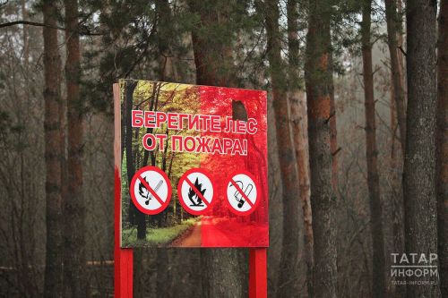 Минлесхоз рассказал, когда в 2025 году завершится пожароопасный сезон в Татарстане