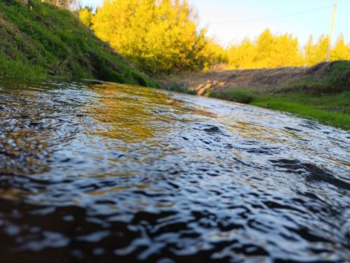 Заморозки ночью и до +13 °C днем прогнозируют 30 сентября в Татарстане