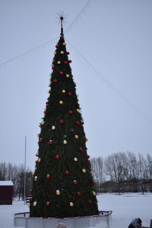 Старый Новый год в Кайбицах: праздник, который дарит радость