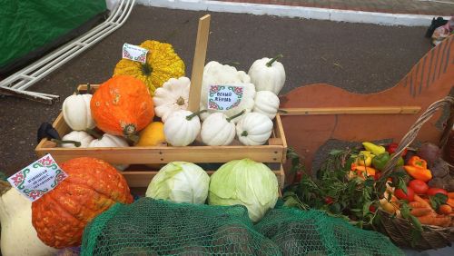 Кайбичан ждут на ярмарке в райцентре