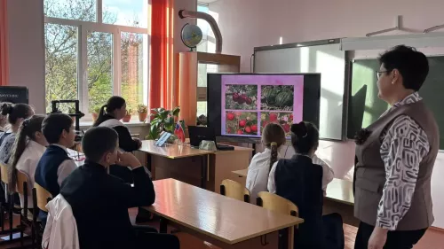 Юные экологи Берлибашской школы: на защите родной природы