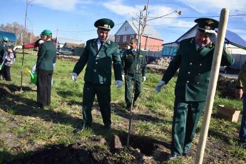 В Кайбицах заложили дубовую аллею в память о заслуженном лесоводе