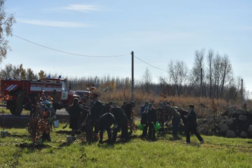 В Кайбицах заложили дубовую аллею в память о заслуженном лесоводе