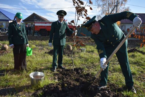 В Кайбицах заложили дубовую аллею в память о заслуженном лесоводе